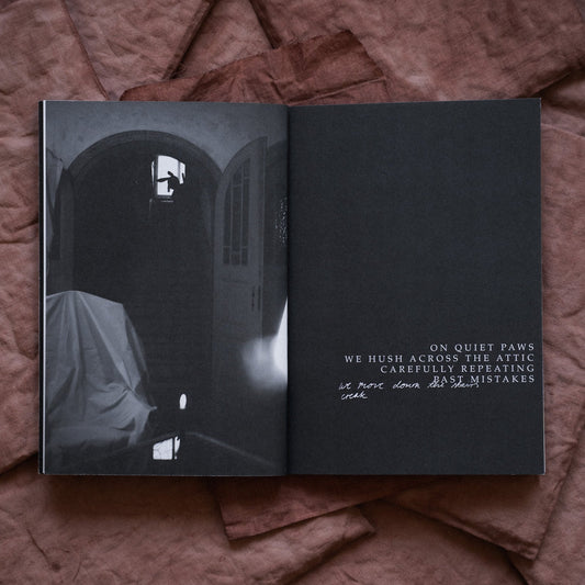 auf leisen pfoten book